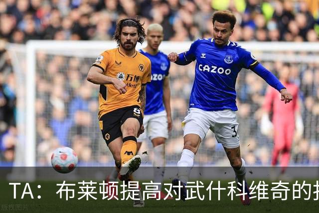 TA：布莱顿提高对武什科维奇的报价，但仍低于热刺估价